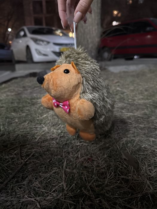 продам лесного ежа