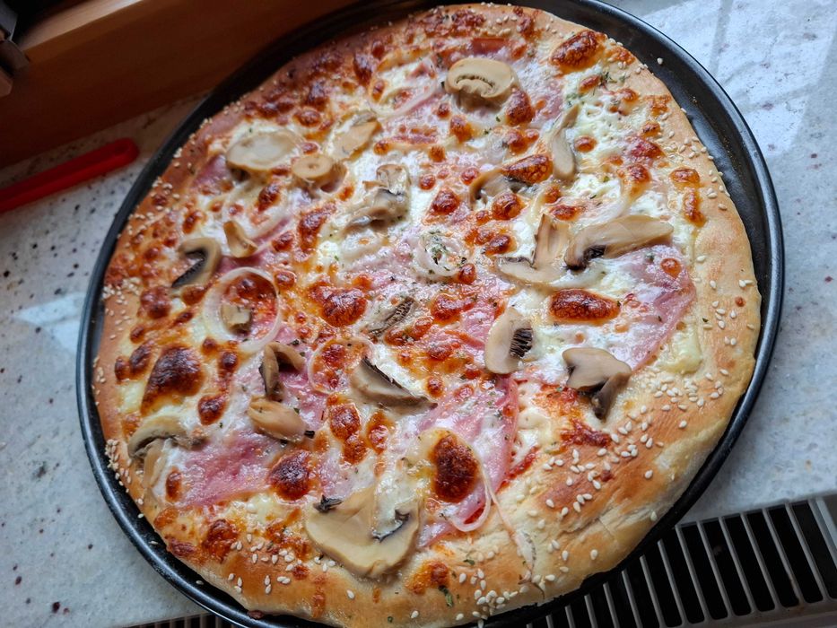 Cuptor pizza Biovita