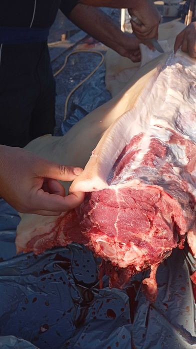 Домашна прясна сланина