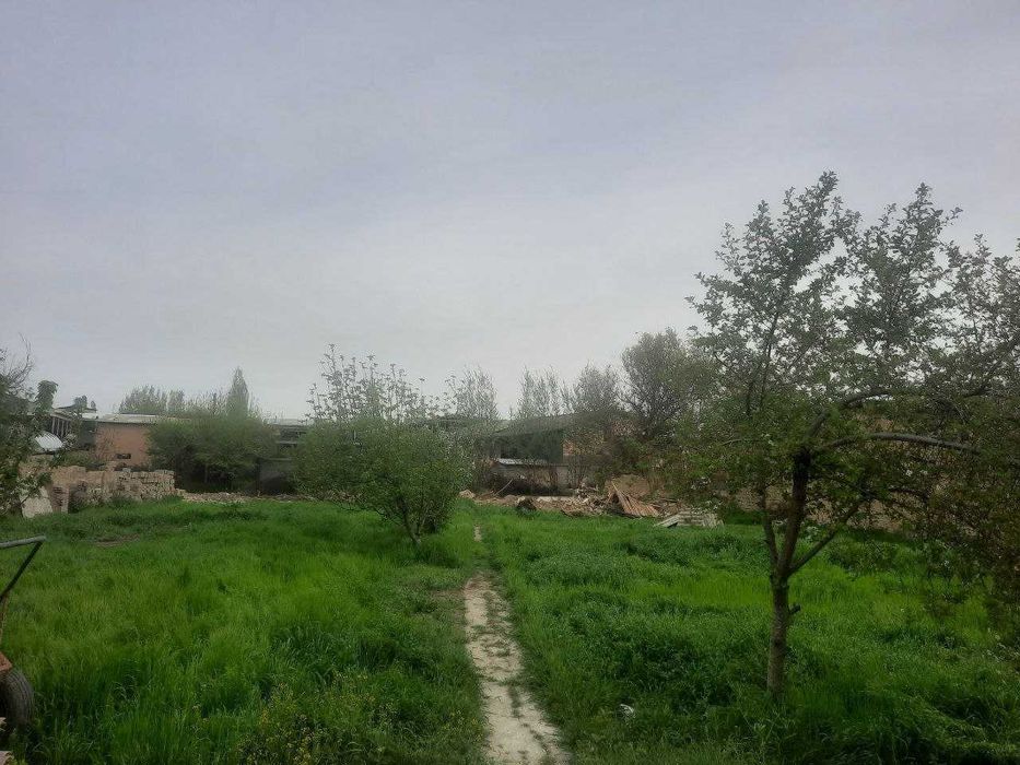 Кибрай тумани, Откир маҳалласида 6 сотих ер участкаси сотилади!