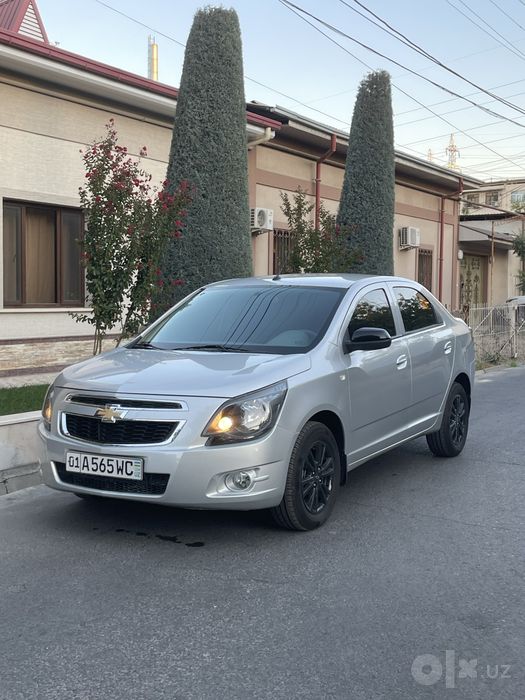 Cobalt 2025 tozza