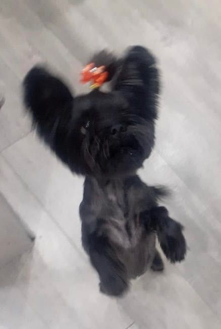 Потерялась Бэтти