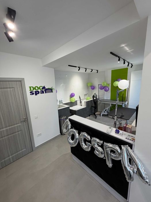 Frizerie canina Targoviste - salon DogSpa Beauty, programari online