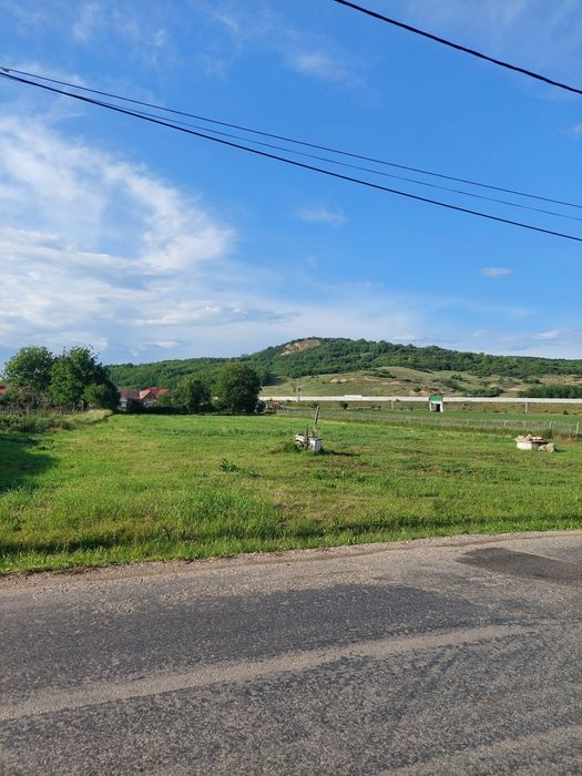 Vând teren Apoldu de jos