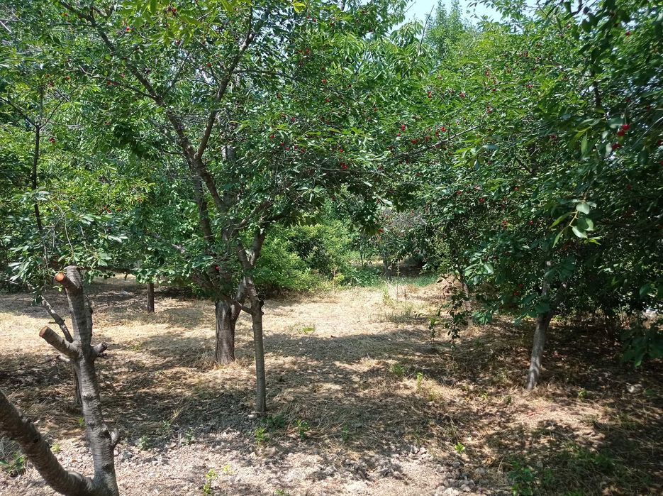 Дом продаётся. Продаётся дом. Продаю дом. Читайте подробнее!