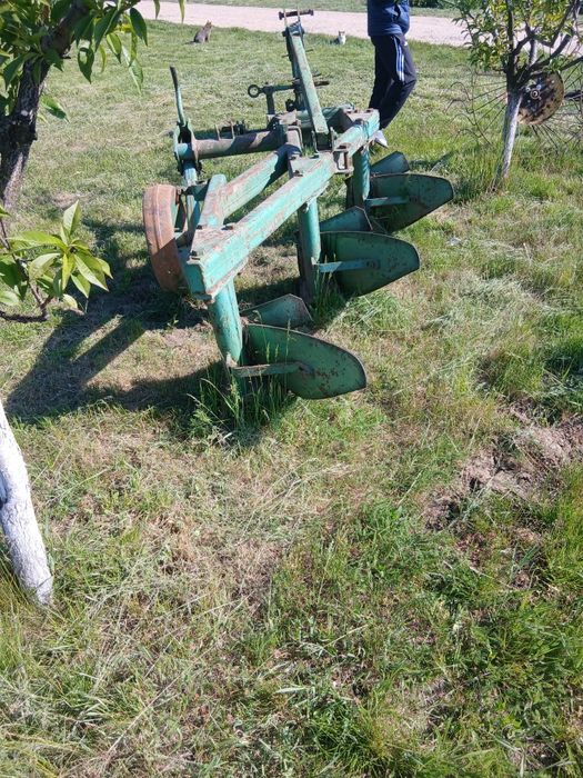 Plug Unia polonez