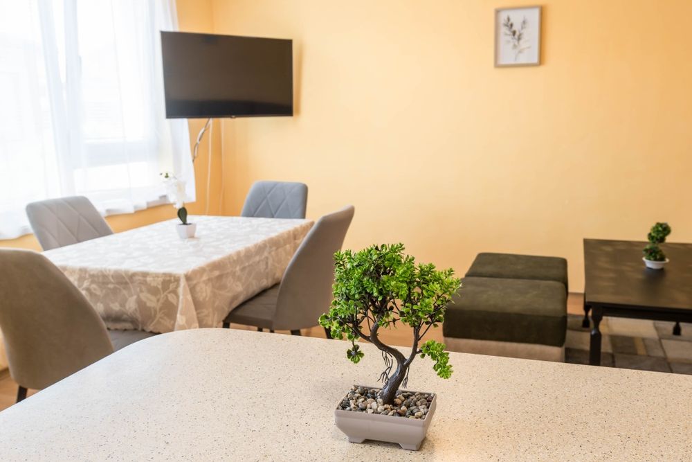 Дава се под наем Тристаен апартамент в Варна, Чаталджа - 86 кв.м за 800 € - Снимка #3