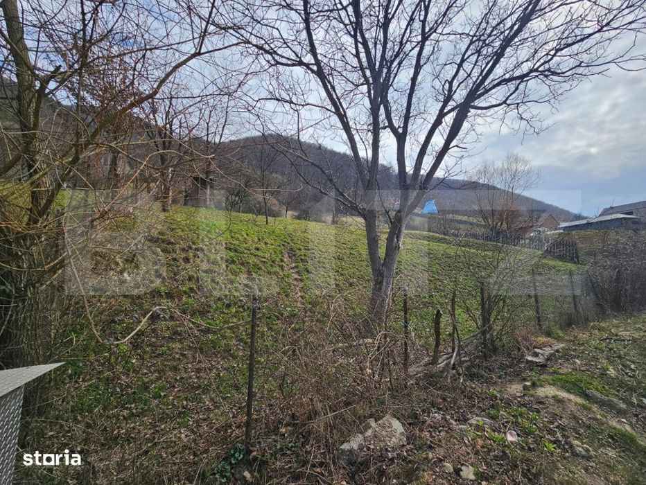 Teren intravilan generos de 4000 mp, cu priveliste montana, Cugir