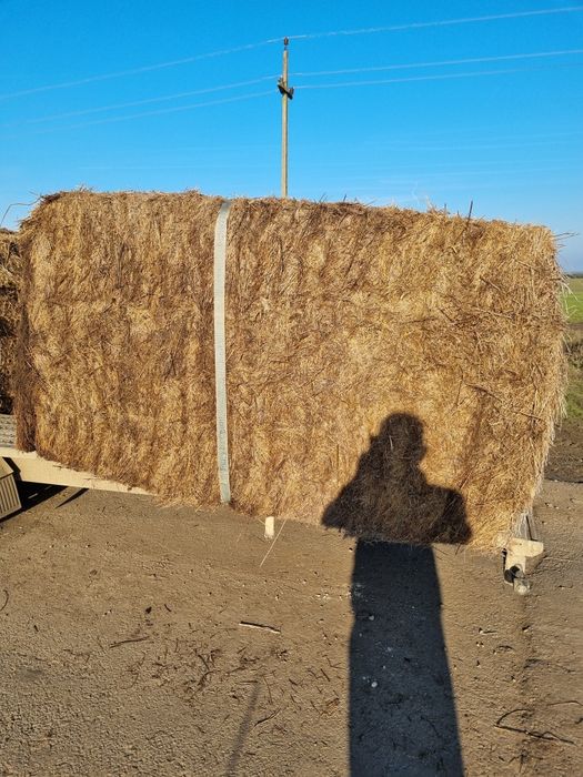 Vand baloti fan 500 kg