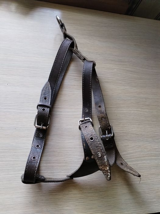 Накидка дождевик  для собак. ШЛЕЙКА ЙКА КОЖАНЫЙ