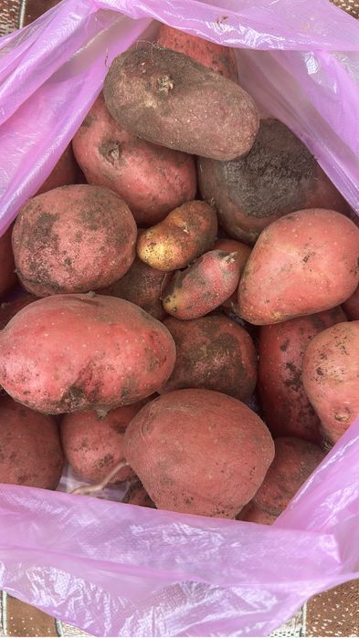 Продам дачу на Спутнике.4 остановка.