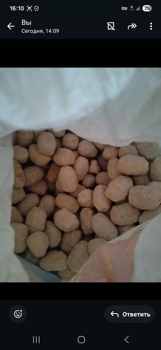 Сатамын Қара-құрт Продам курт