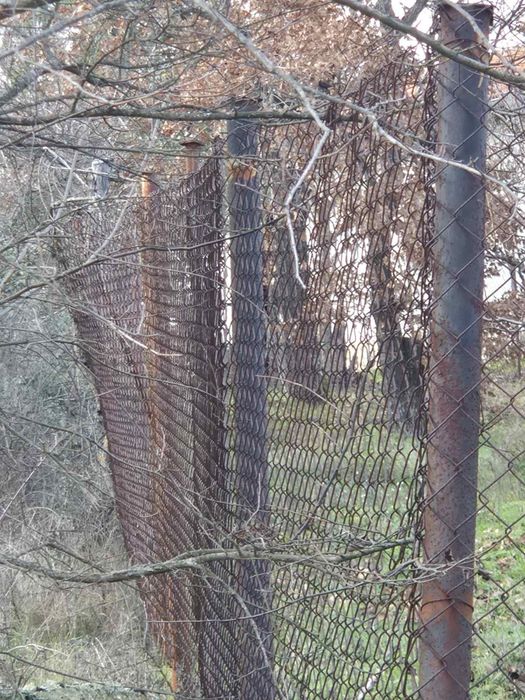 Парцел в Долна Козница