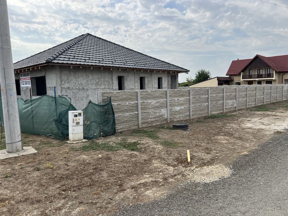 Casa individuala Peciu Nou