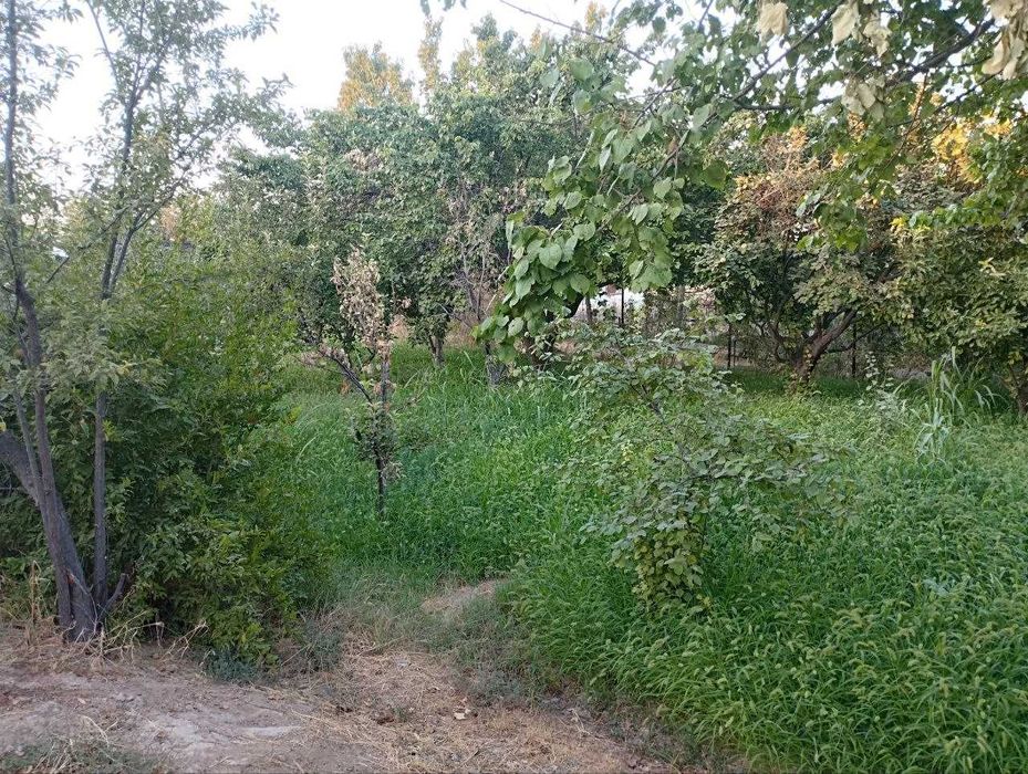 Дала Ховли 10,5 соток