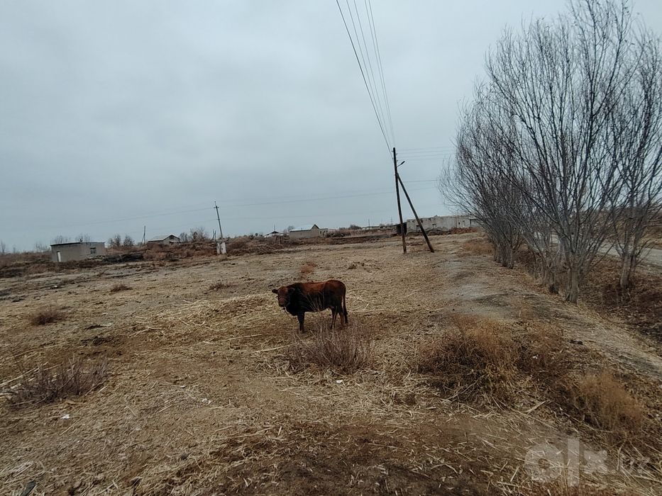 Жер орин сатилади