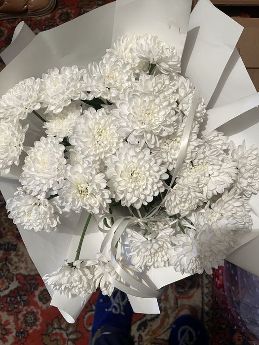 Продам цветы по 3000