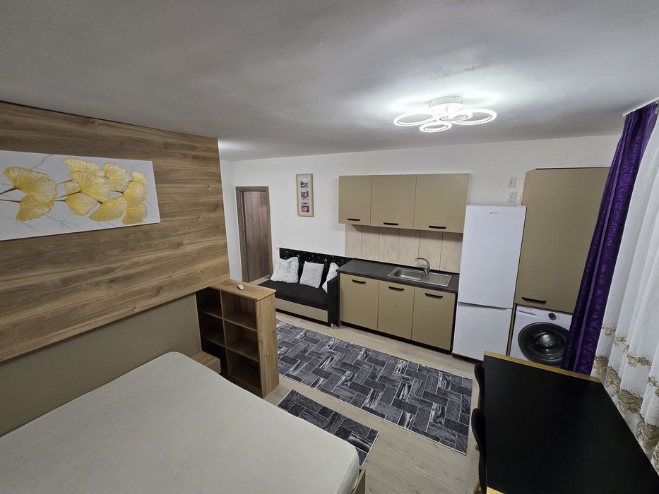 Garsoniera / studio de inchiriat în casa/vila zona case Banat