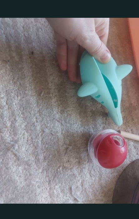 Litiera,  accesorii pisici