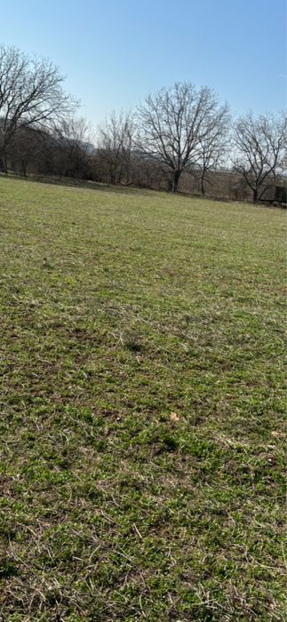 Продава се Парцел в с. Богомилово, Област Стара Загора - 1878 кв.м за 19 €/кв.м - Снимка #22