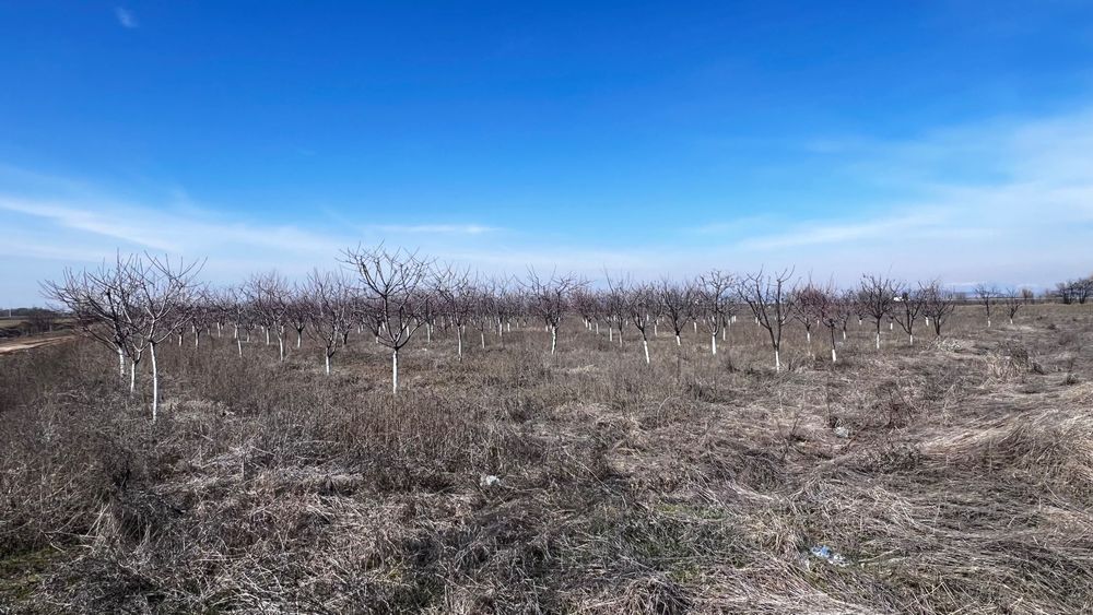 Продава се Земеделски имот в с. Мало Конаре, Област Пазарджик -  кв.м за 2652 €/дка - Снимка #1