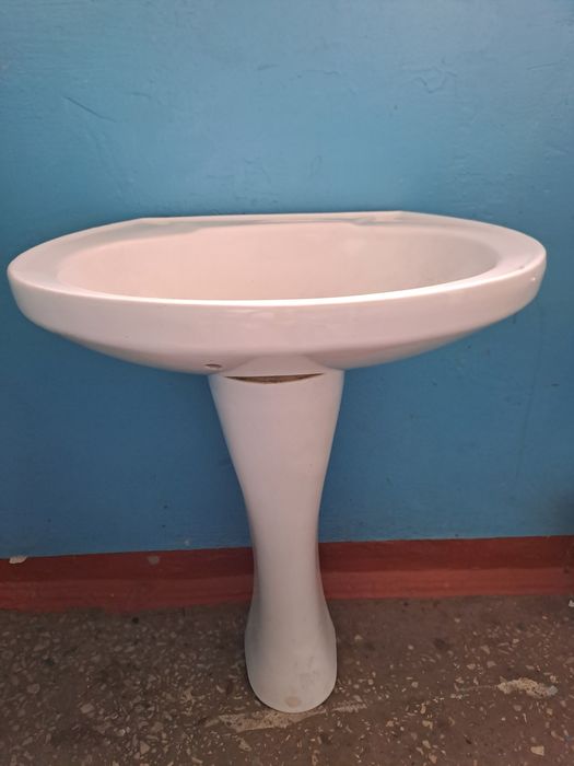 Раковина тюльпан