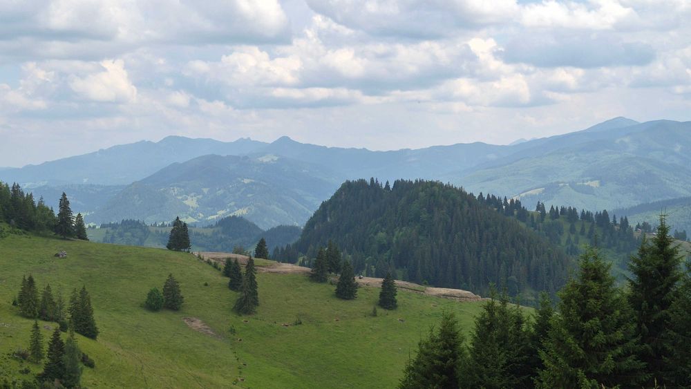 17 Ha Hectare pe Via Transilvanica intravilan + extravilan in Fundu Moldovei