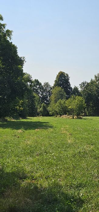 2.614 mp teren intravilan Brebu Prahova, cadastru si CU la zi
61