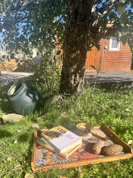 Реновиран поднос за храна