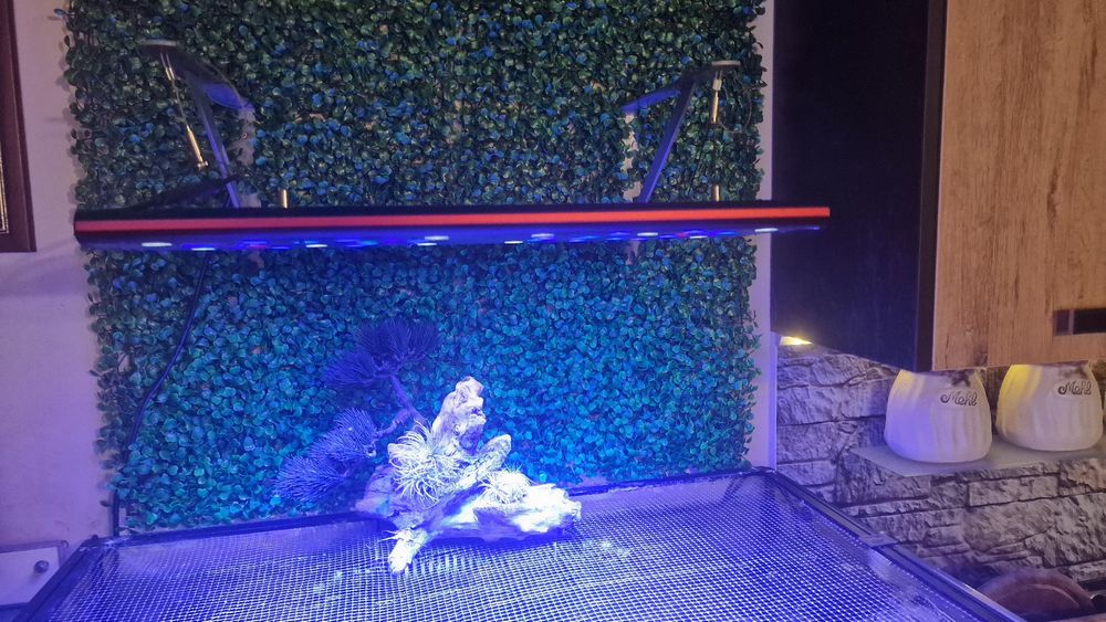 Соленоводен аквариум