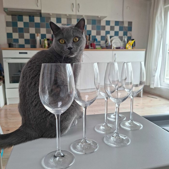 Комплект 6 елегантни винени чаши