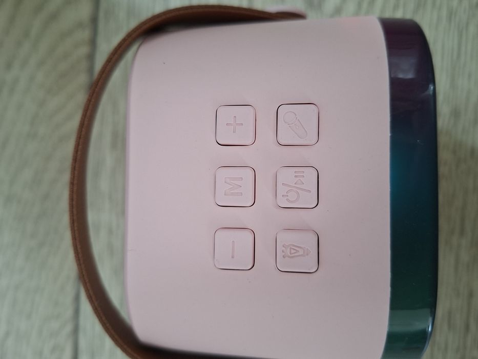 Караоке тонколонка