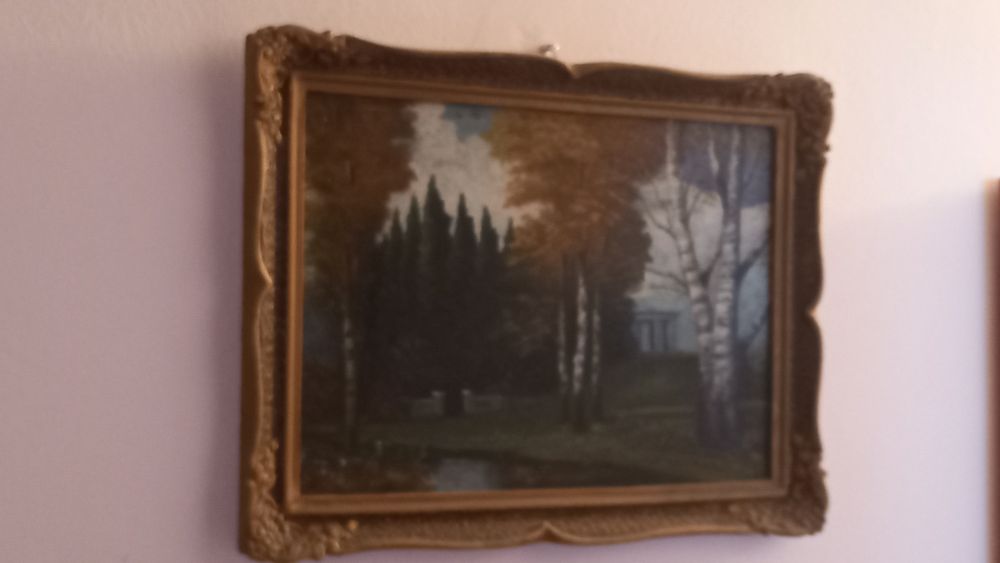 Vand picturi pe panza și litografii inramate frumos,superbe,stare perfecta