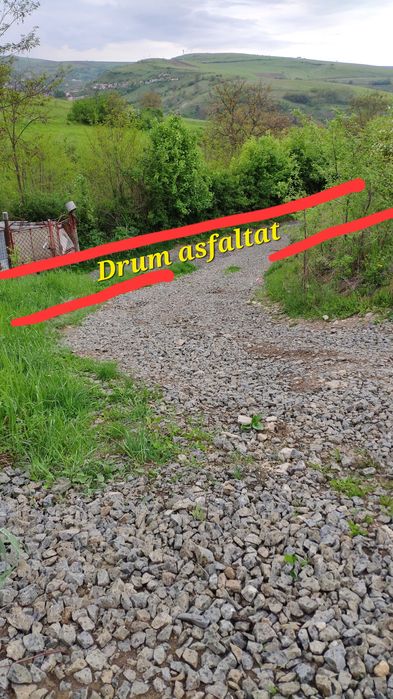 Teren intravilan Suceagu 2506mp, drum asfaltat, utilitati, bus, etc