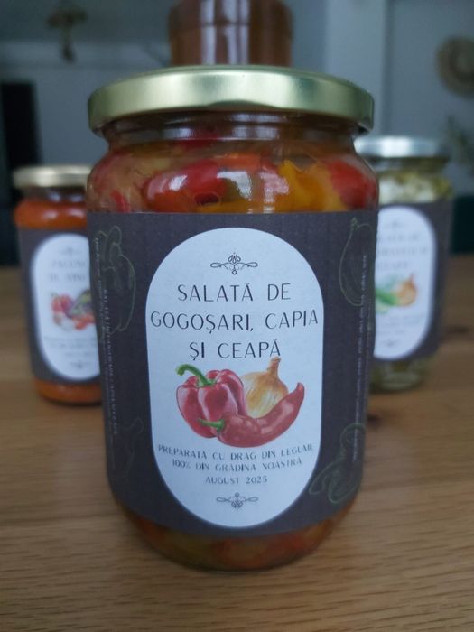 Salată de gogoșari, capia și ceapă – artizanală