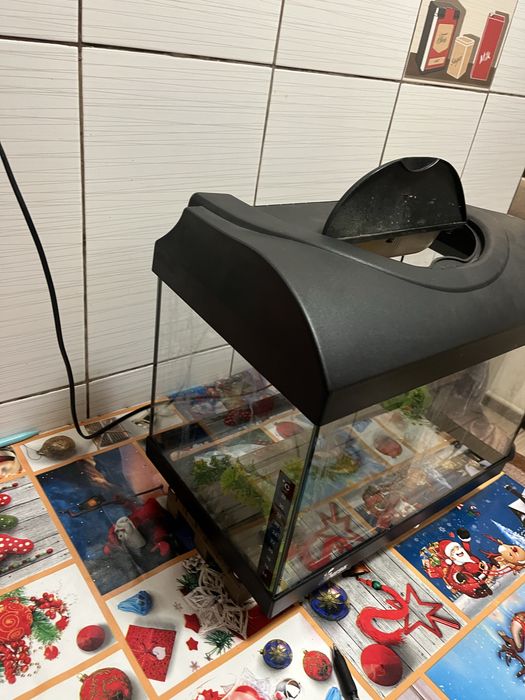 Vand acvariu pt incepatori