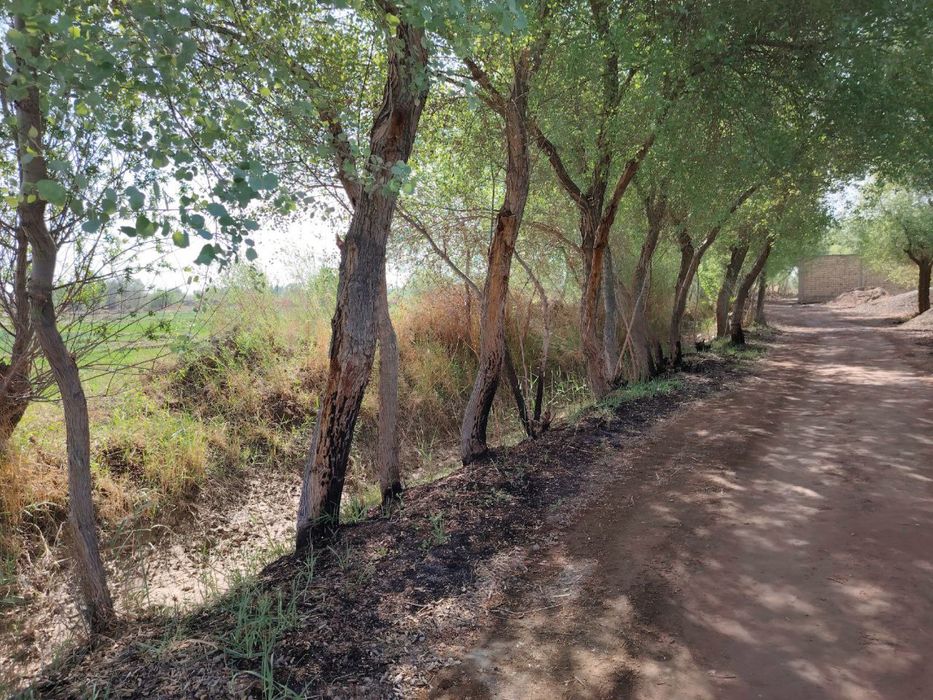 Нотурар бино сотилади,келишилган нархларда