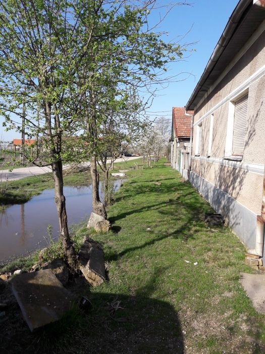Casa de vanzare in Zarand