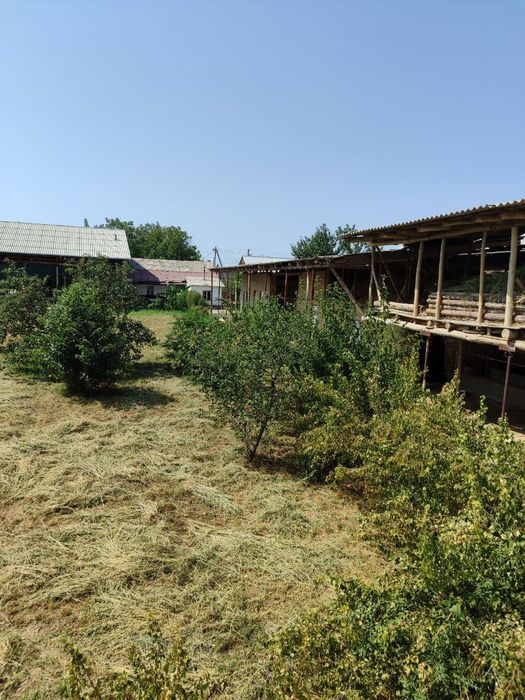 Toshkent viloyati qibray tumanida uy sotiladi.