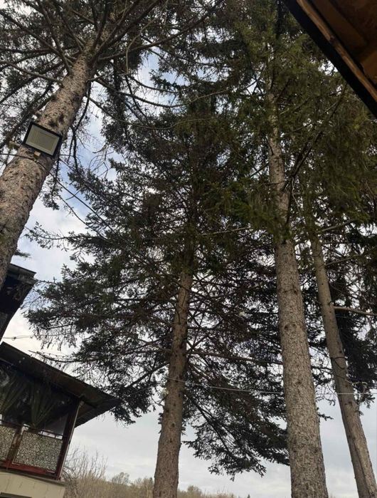 Къща за гости Дени/Deni guest house