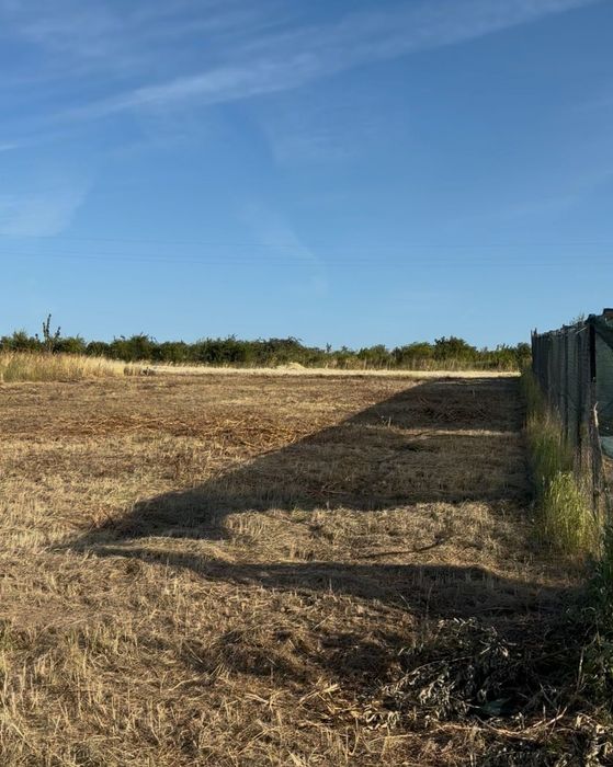 Teren intravilan în PALEU, str Soarelui