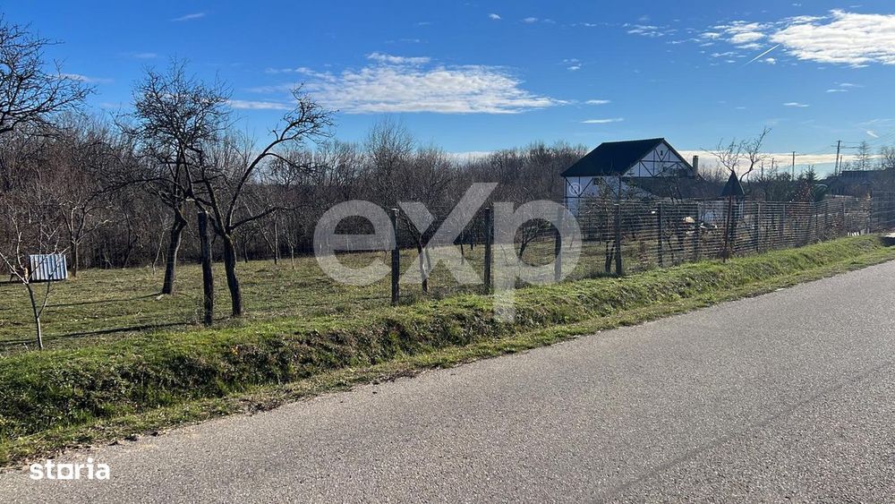 Refugiu la tara: casa cu 2 camere si teren de aproape 4.000 mp, Cocu