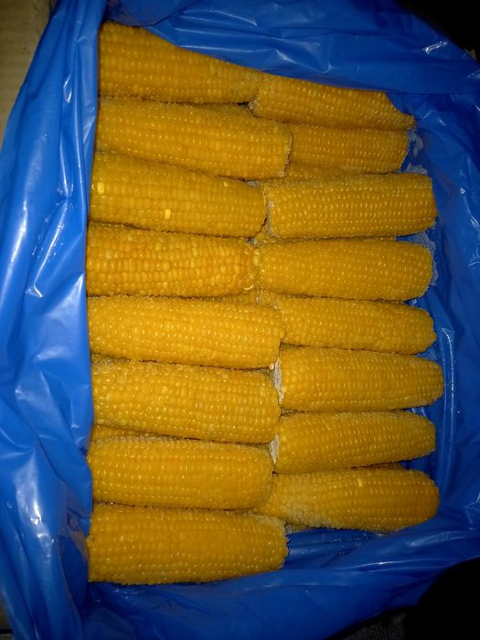 Сладкая кукуруза