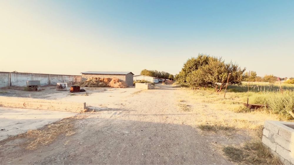 Ferma sotiladi 30 tonnalik marazelnik 10 000 ta broler boqishga joy bo