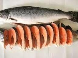 Семга 8-10кг заболела премиум, Норвегия, АКЦИЯ ПО 7200!!