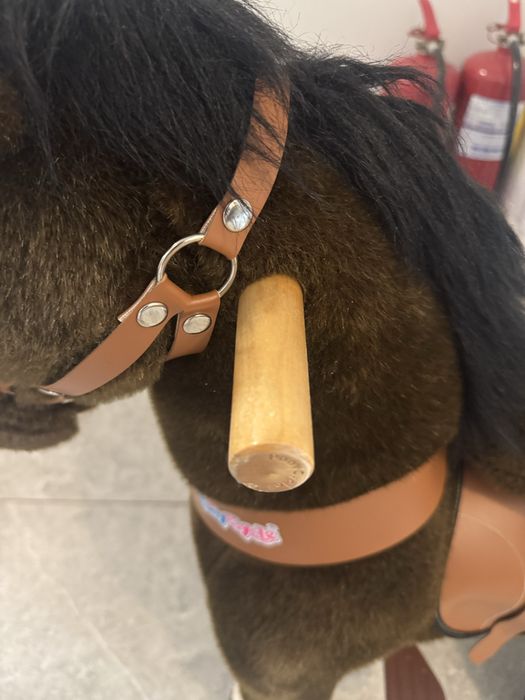 Ponei  cu roti, PonyCycle
