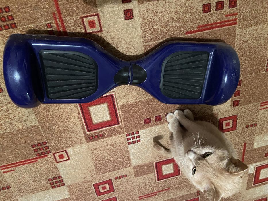 гироскутер