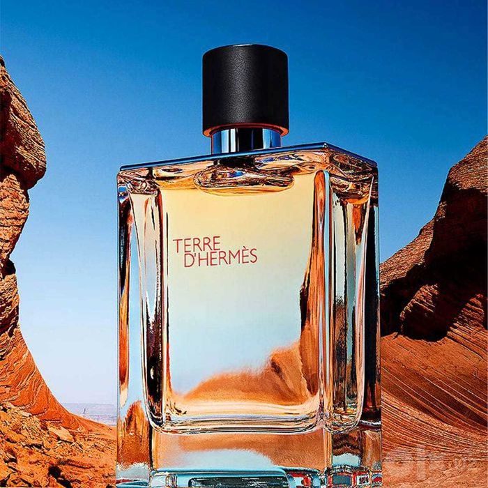 Terre d'Hermès Hermès 100 ml Original