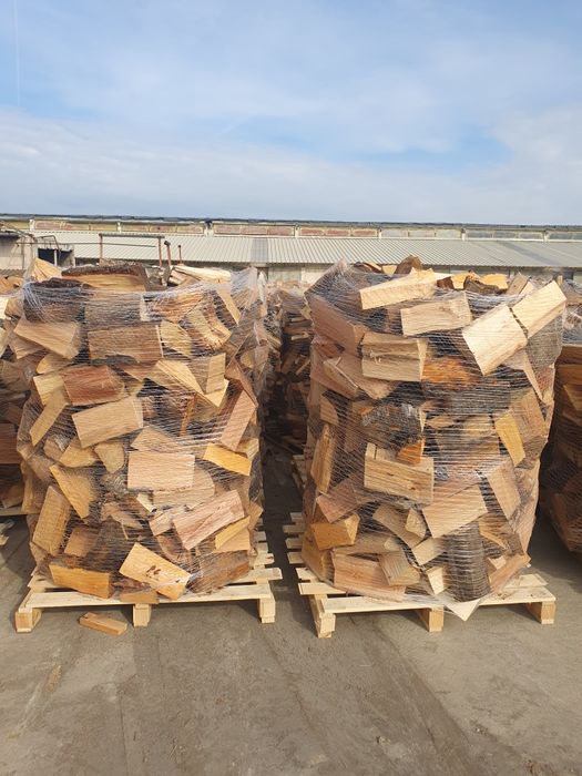 Lemn de foc de fag paletizat