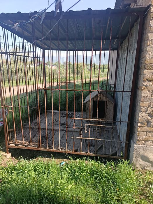 Ассалаумағалайкум